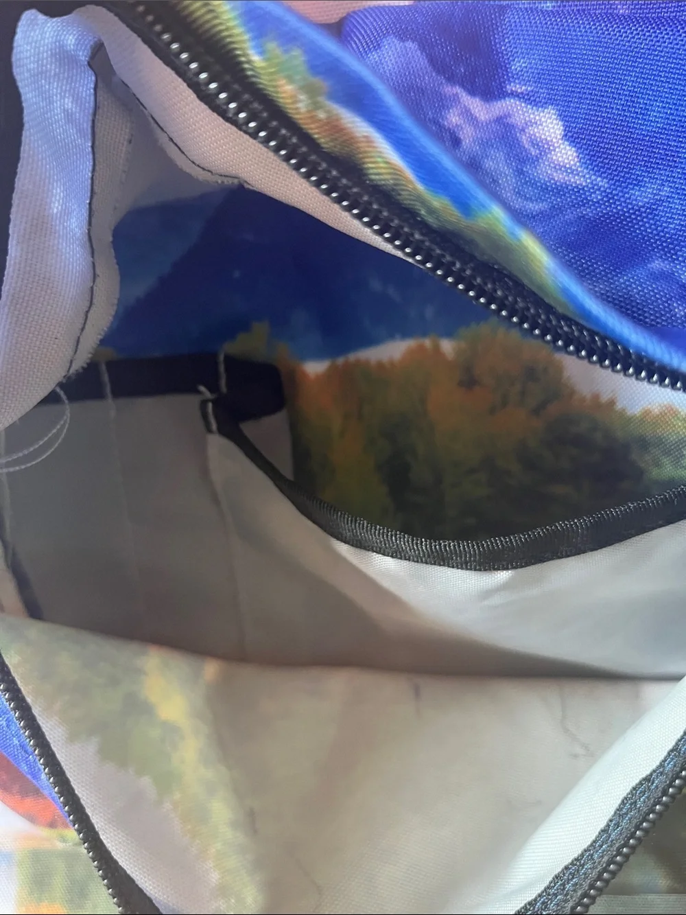 Jansport Multicolor Sunset Scenic Print Backpack